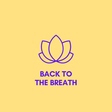 Back To The Breath