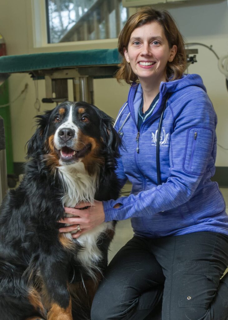 all-paws-veterinary-clinic-inc-1-1.jpg