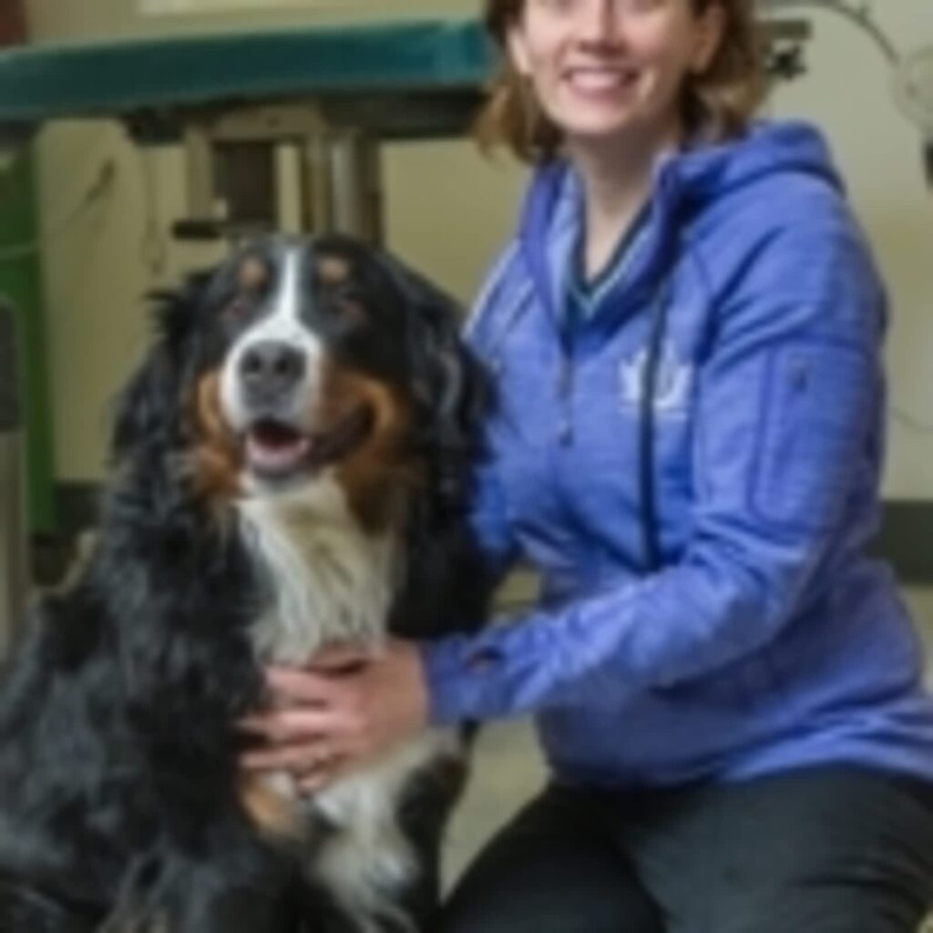 all-paws-veterinary-clinic-inc-1.jpg