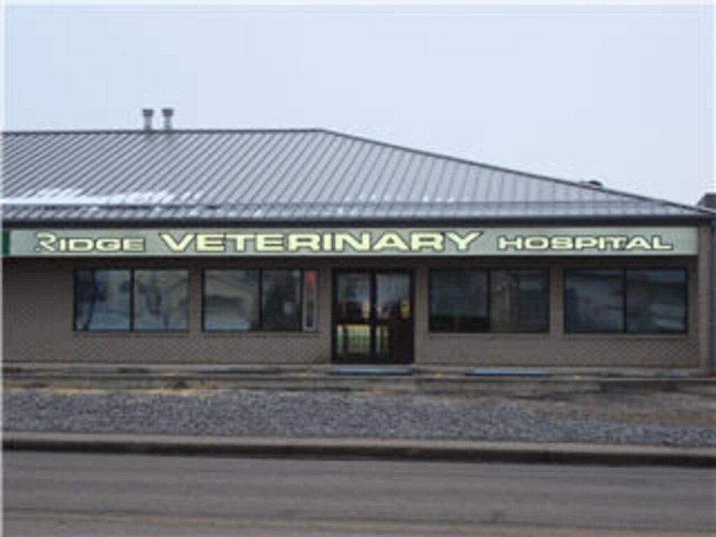 central-animal-hospital-1.jpg