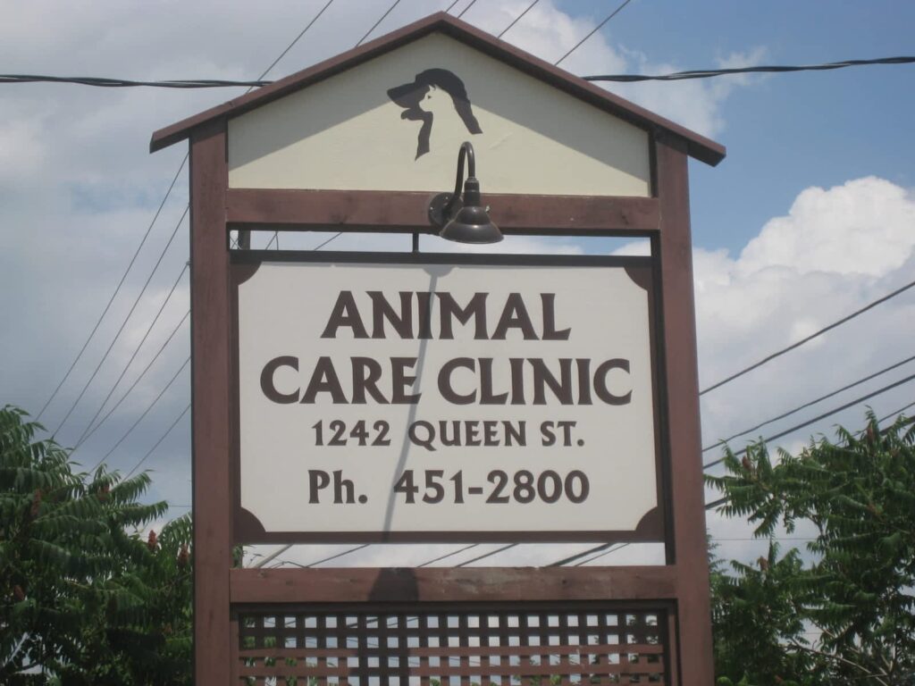 animal-care-clinic-1.jpg
