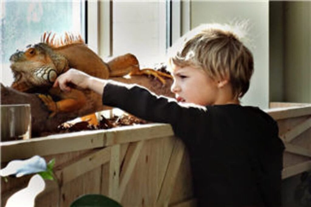 beyond-montessori-1.jpg