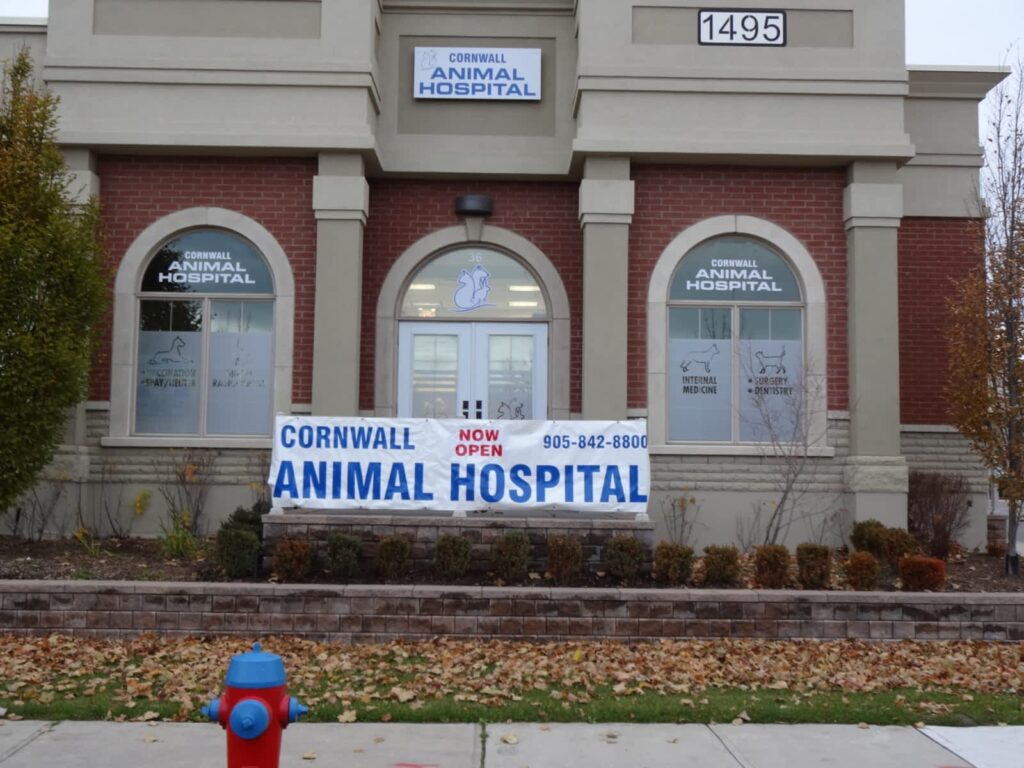 cornwall-animal-hospital-1.jpg