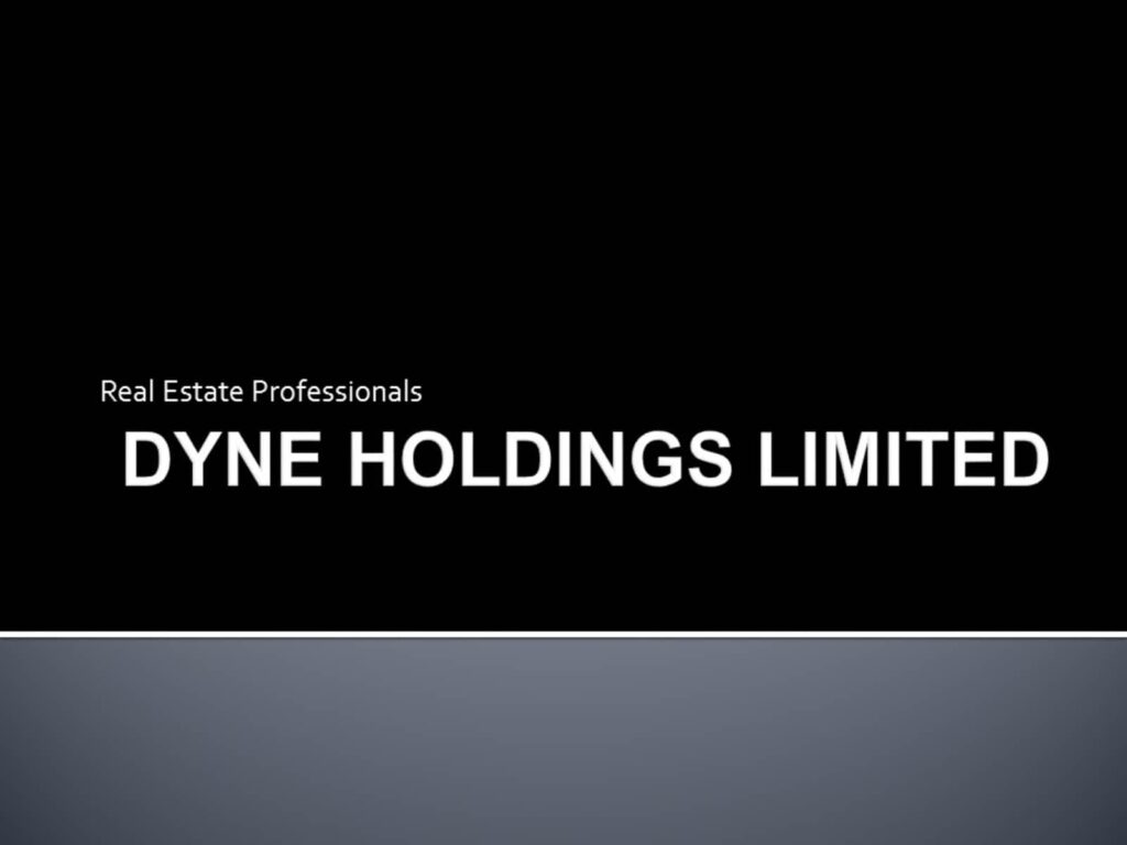 dyne-holdings-ltd-1.jpg
