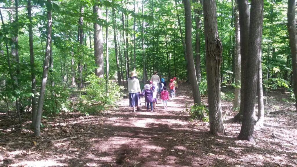 halton-waldorf-school-1.jpg