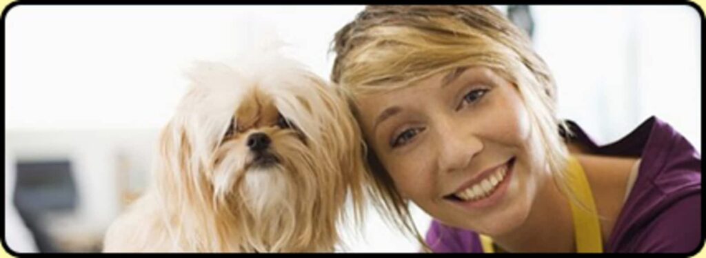 hot-dogz-grooming-daycare-ltd-1.jpg