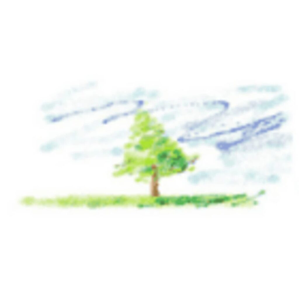 mahogany-learning-centre-1.jpg