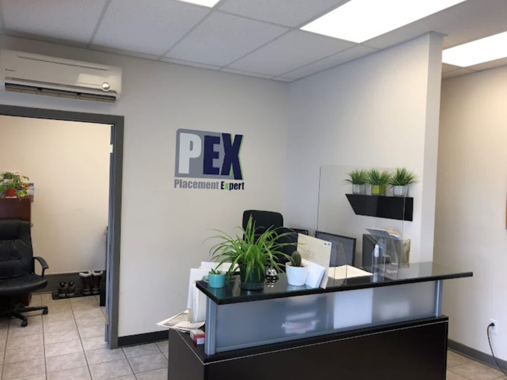 placement-expert-1.jpg
