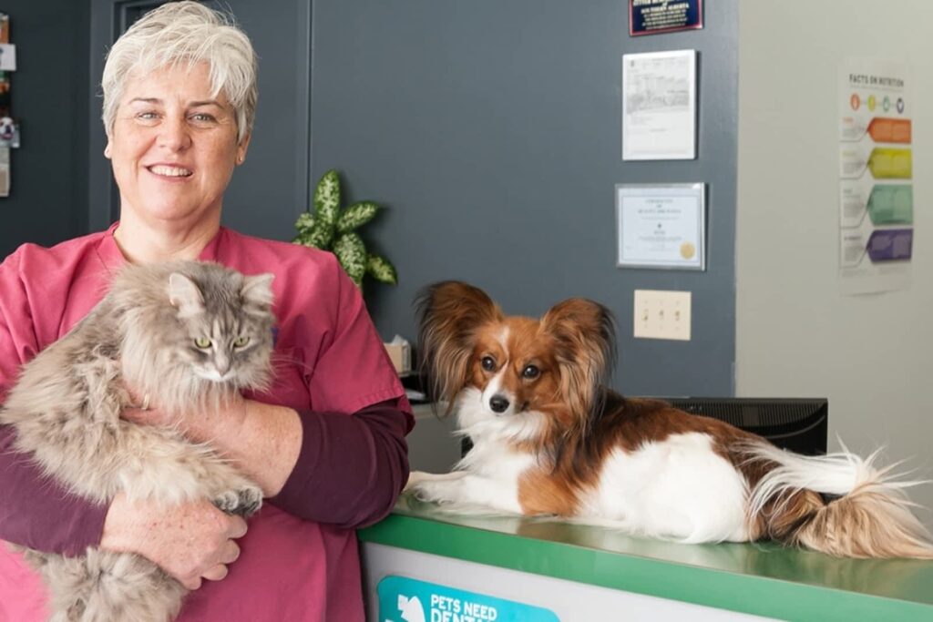 sundance-animal-hospital-1.jpg