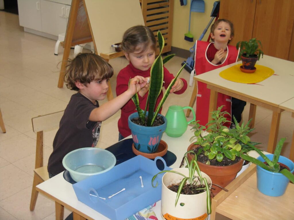 tiddlycove-montessori-school-1.jpg