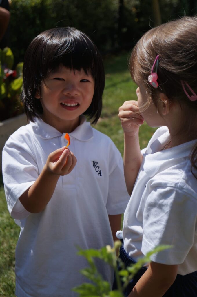 wesley-christian-academy-1.jpg