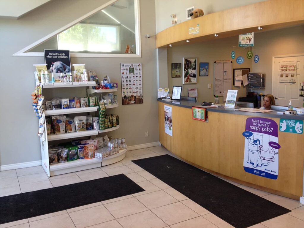 bayview-hill-animal-hospital-1.jpg