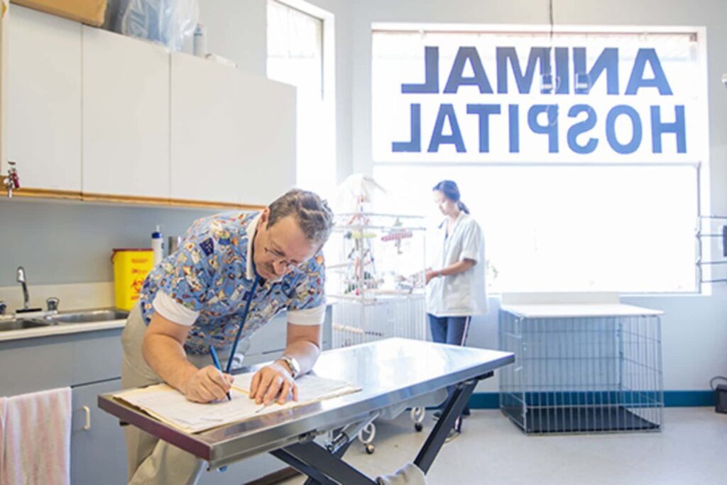 bayview-seven-animal-hospital-1.jpg