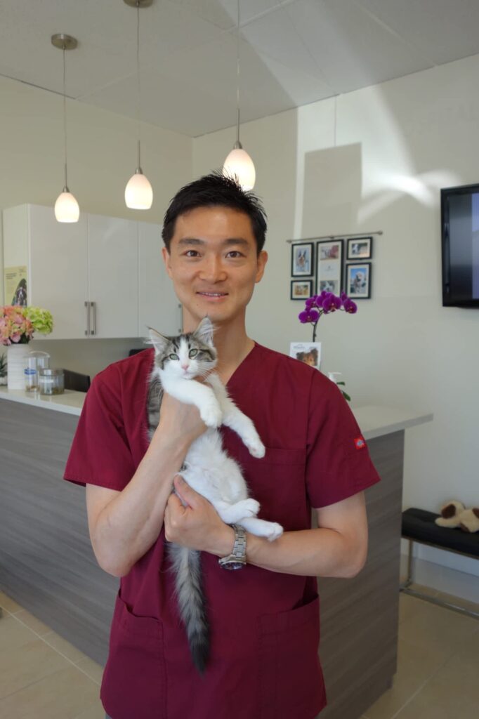 burkeview-animal-hospital-1.jpg