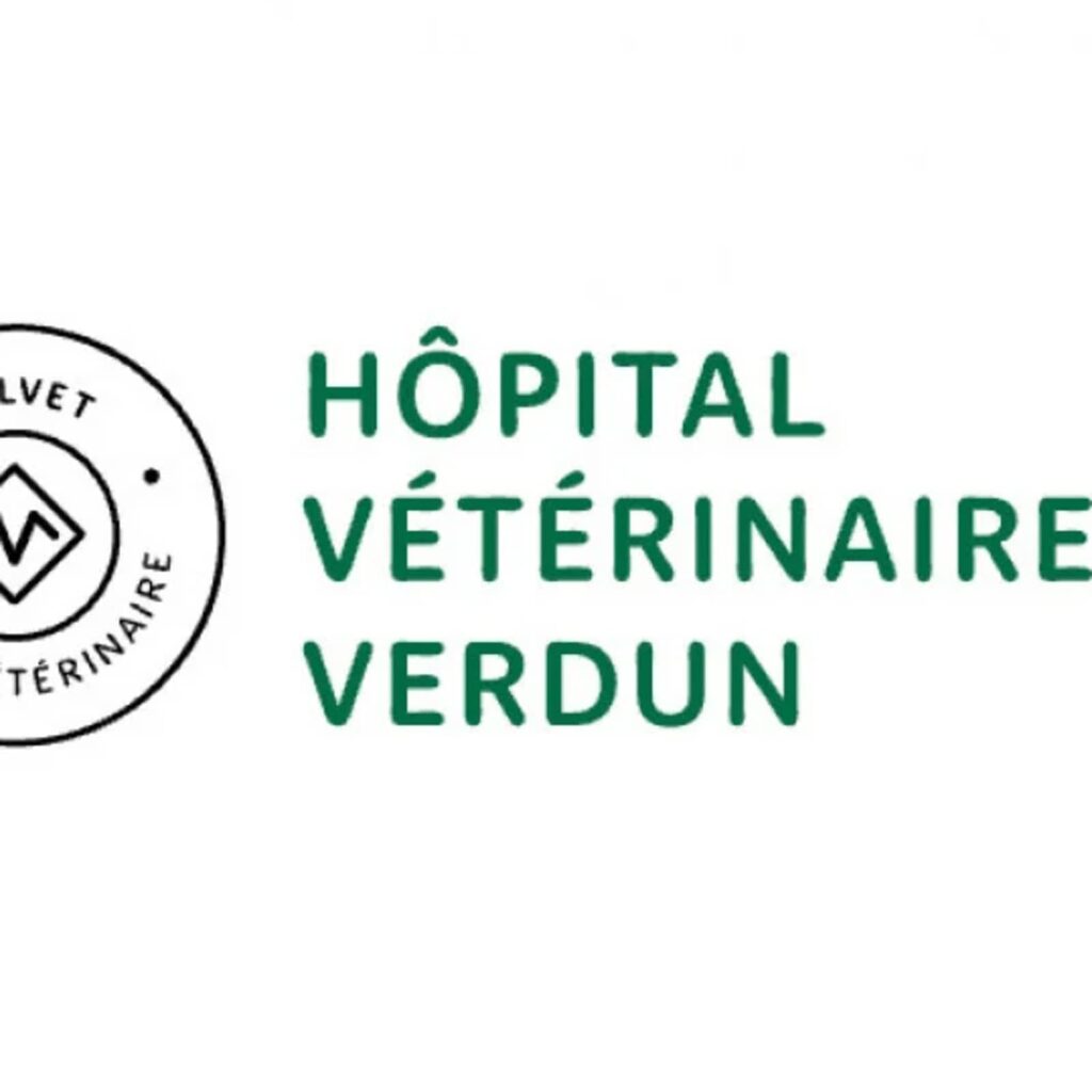 hopital-veterinaire-verdun-2.jpg