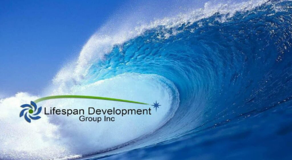 lifespan-development-group-inc-1.jpg