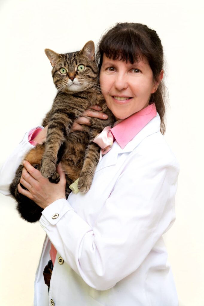 summeridge-animal-clinic-1.jpg