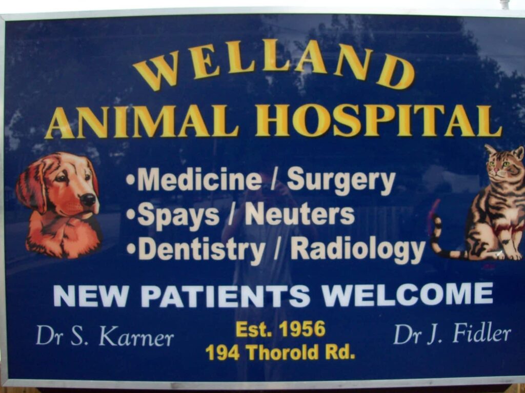 welland-animal-hospital-1.jpg
